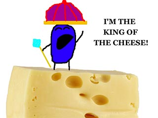I am the king of cheese!